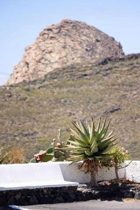 El Retamar, Naturaleza Y Paisajes Santiago del Teide Dış mekan fotoğraf